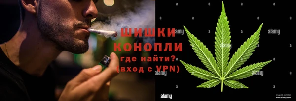 дживик Зеленокумск