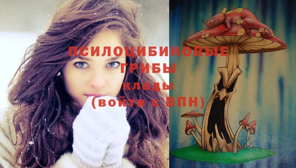 эйфоретик Зерноград