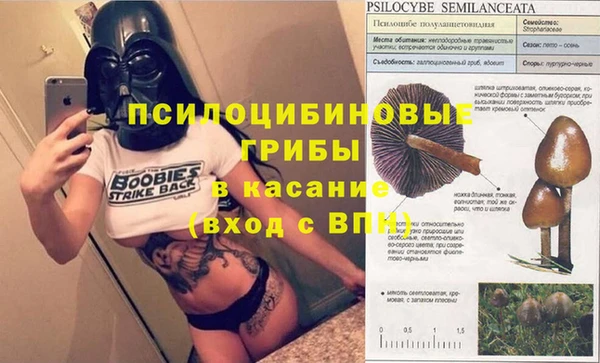 бошки Зеленодольск