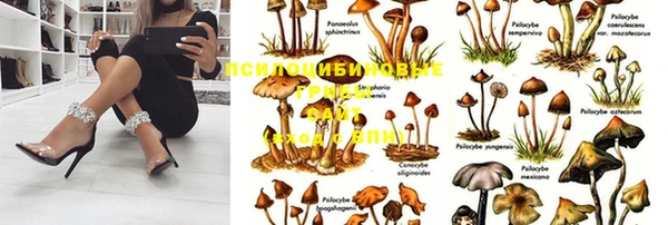 бошки Зеленодольск