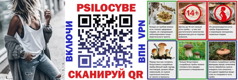 как найти наркотики  Жуковский  Галлюциногенные грибы MAGIC MUSHROOMS 